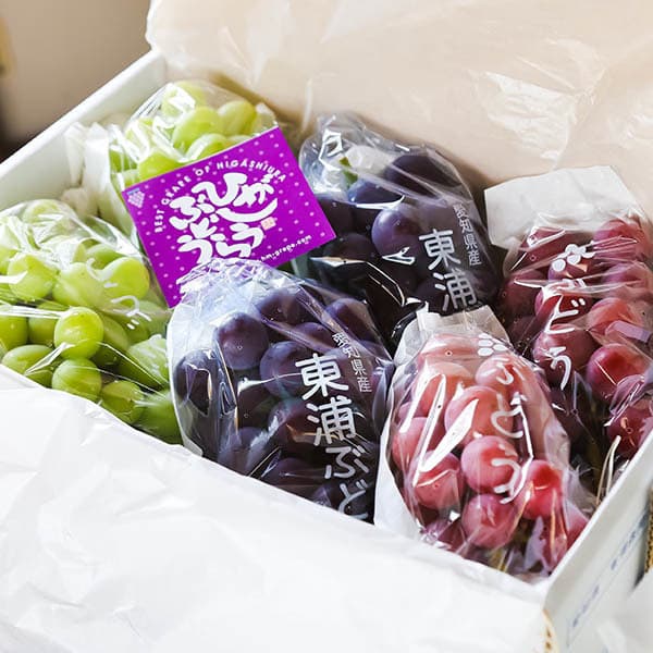 12.出荷